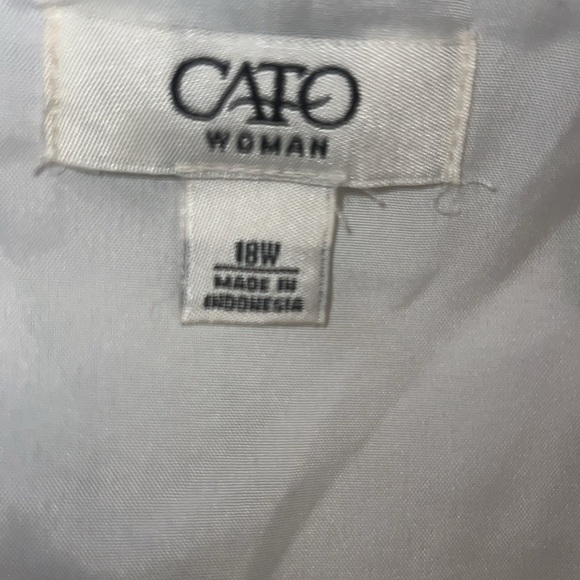 Cato’s Fully Lined Skirt - Picture 5 of 6